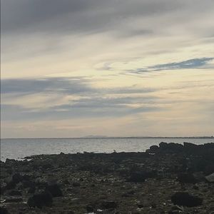 Meet your Posher, Ardita